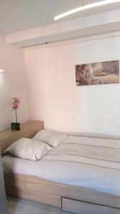 Appartements Magnifique Studio au coeur historique de Frejus : photos des chambres