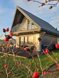 Okno Na Góry - Pyzówka