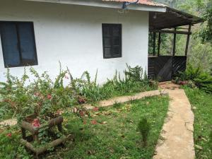Shembwana home stay