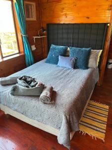 Serendipity Guest Farm Byrne