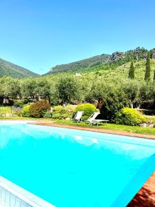 Appartamento