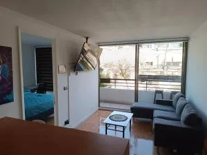 Acogedor Departamento - Providencia