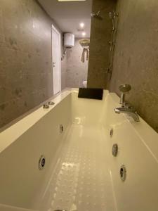 Golden New Tulip Abha