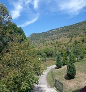 Studio apartman Sonja