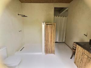 Jungle paradise in Paraty