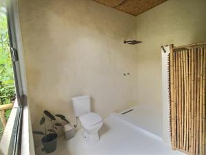 Jungle paradise in Paraty