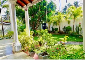 Ama Villa Negombo