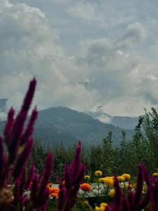 Aangan Homes - Dobhi, Manali