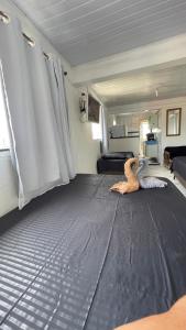 Cantinho do sossego Arraial do cabo - Prainha