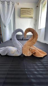 Cantinho do sossego Arraial do cabo - Prainha