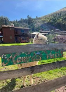 MANCHITAS WASI - Pillcopata