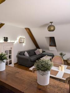 Appartements Les Toits de Turckheim : photos des chambres