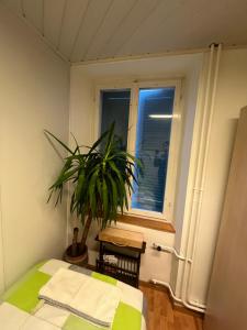 Delemont Blues Hostel 03