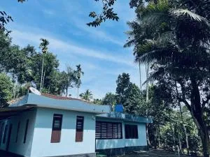 Sara's vintage home - Meenangadi