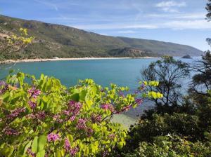 4 suites, piscine, Casa Rio-Dora by SesimbraSunSea