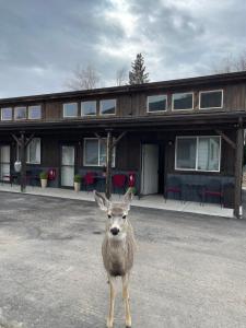 Corral Villas Yellowstone - Ubytování bez kategorie ve městě Gardiner