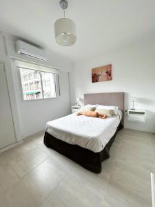 Apartamento con 2 dormitorios en el corazón de Recoleta