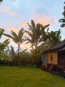 Banana Bungalows Tetebatu