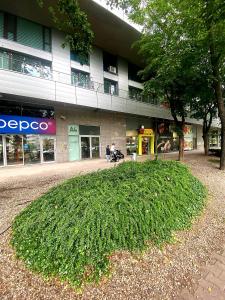 HomeComfort Apartament Adonis