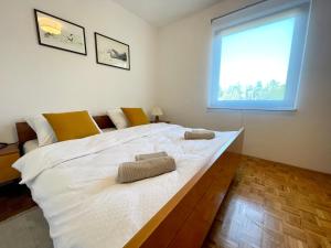 Apartment Dalla Nonna - 6 Persons - 300m from Beach and City Center