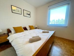 Apartment Dalla Nonna - 6 Persons - 300m from Beach and City Center