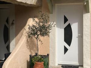 Appartements Fenetre sur les Cevennes : photos des chambres