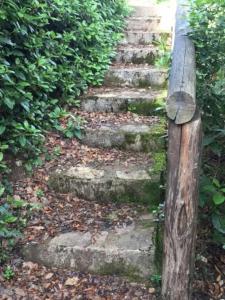 luxury villa in centre of tuscany