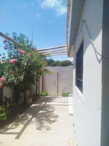 Temporada em Itamaracá