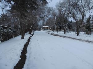 Cabañas San Francisco