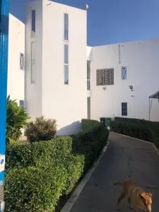 The White House Tujereng - Banjul