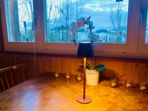 Birkenhof, Haus Schwänli