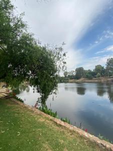 Out of Africa on Vaal