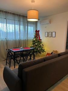 Victoria Condo Otopeni- Self Check-in and Check- out