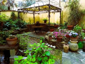 Pintino Garden