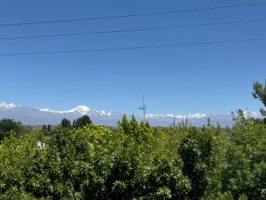 Ruca Apartment Cálido y Amplio en el Centro de Tupungato