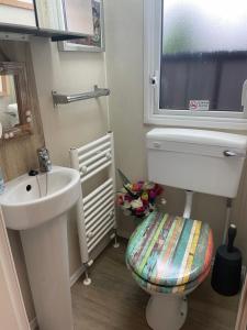 62 Newquay Bay Resort Pet Friendly