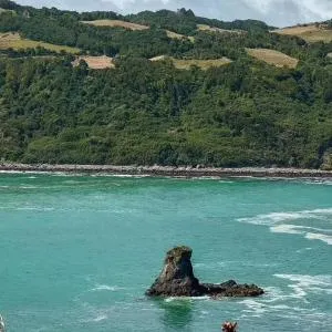 Cabaña para 3 en playa de CHILOE - Teguaco