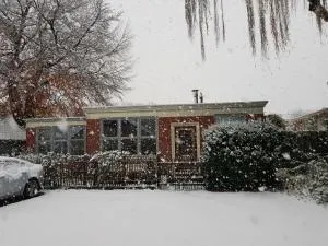 Onder de Beukenboom - Tripscompagnie