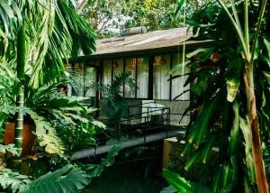 Boho Jungle Studios - 平谷