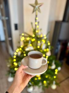 Spokojny Zakątek Rogówko