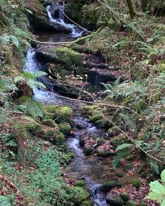Casa rural Espinareu