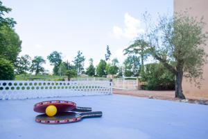 Maisons de vacances Magnifique villa avec piscine et climatisation : photos des chambres