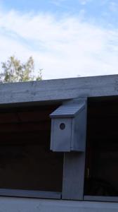 Cozy studio apartment near city centrum