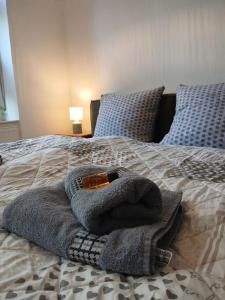 kleines Appartement - zentral, citynah, Stadion, Westfallenhalle