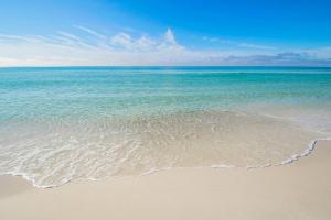 Majestic Beach Towers 1-1006