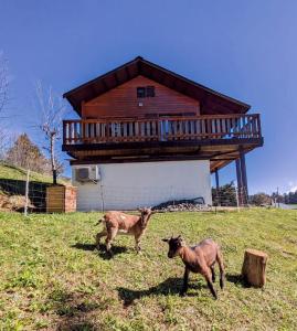 Chalets Chalet Les etoiles vue Mont Blanc : photos des chambres