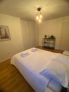 Appartements Grand 2 pieces Eurometropole de Strasbourg proche Europa Park avec terrasse : photos des chambres