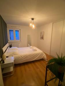 Appartements Grand 2 pieces Eurometropole de Strasbourg proche Europa Park avec terrasse : photos des chambres