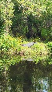 Sunny house 2mil beach