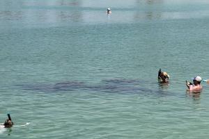 Sunny house 2mil beach